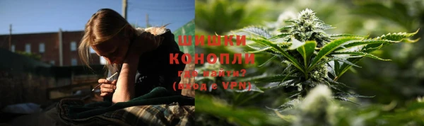 шишки Михайлов
