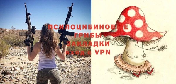 шишки Михайлов