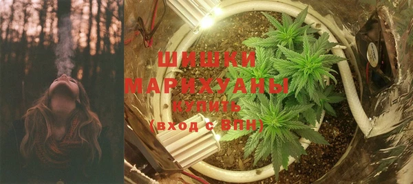 шишки Михайлов