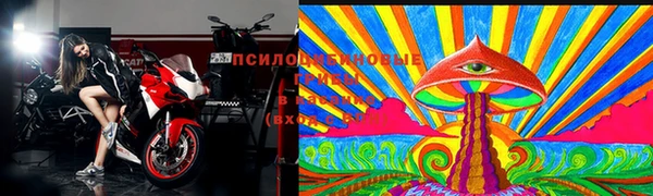 шишки Михайлов