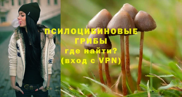 MDMA Михайловка