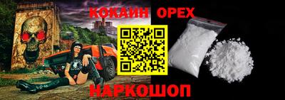 apvp Гатчина