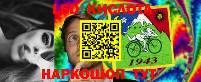 apvp Гатчина