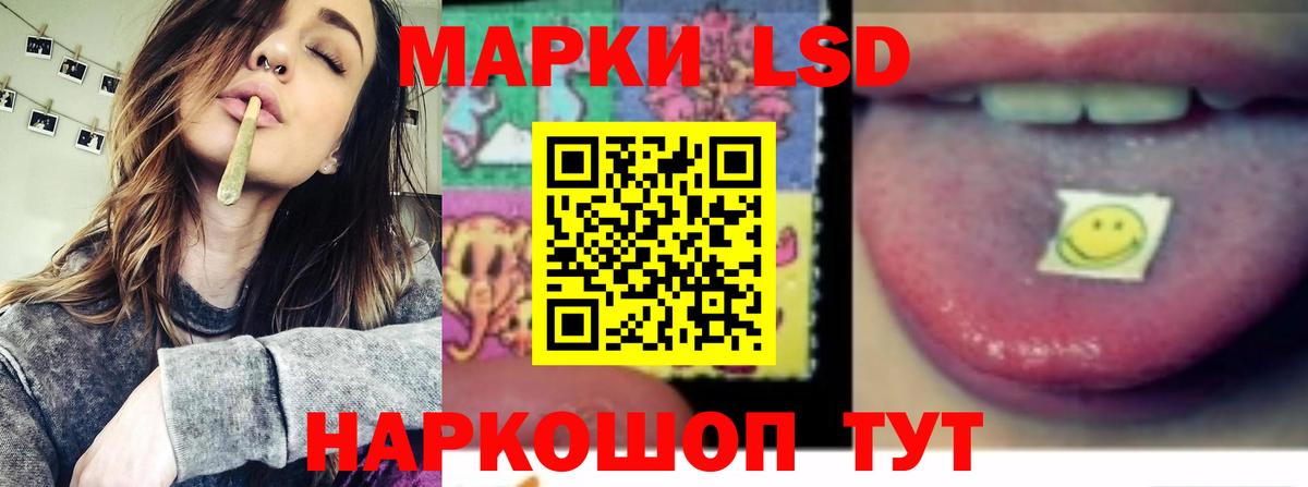 МЕФ Кемерово