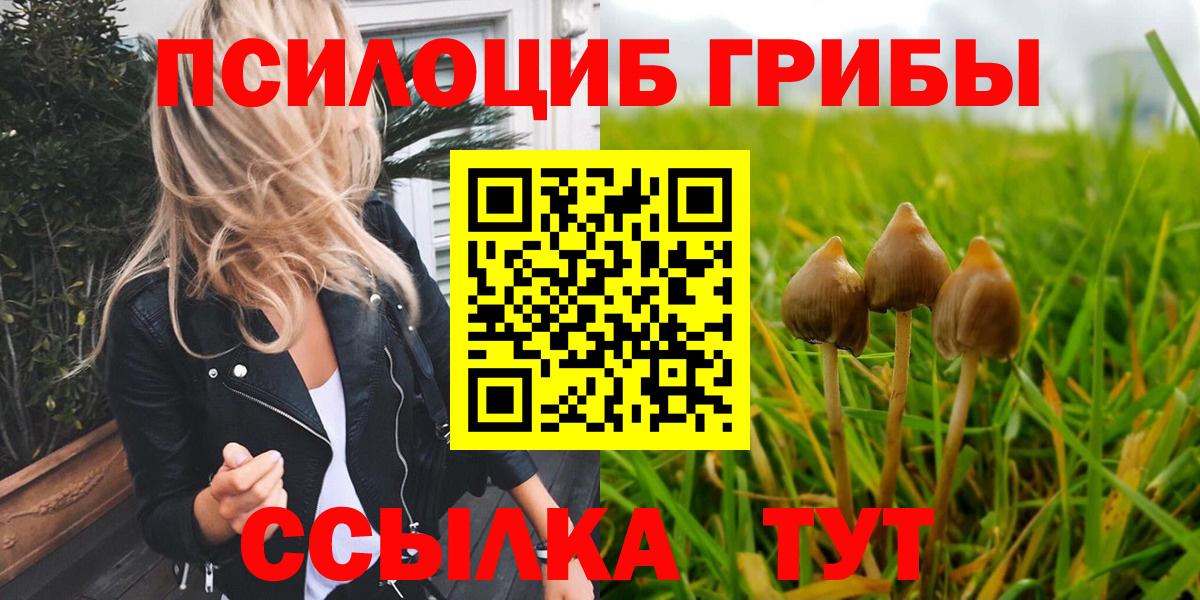 Псилоцибиновые грибы Psilocybine cubensis  Вход с VPN  Кемерово  Галлюциногенные грибы MAGIC MUSHROOMS 