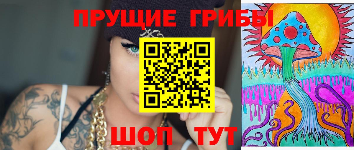 купить   Кемерово  Галлюциногенные грибы Psilocybe 