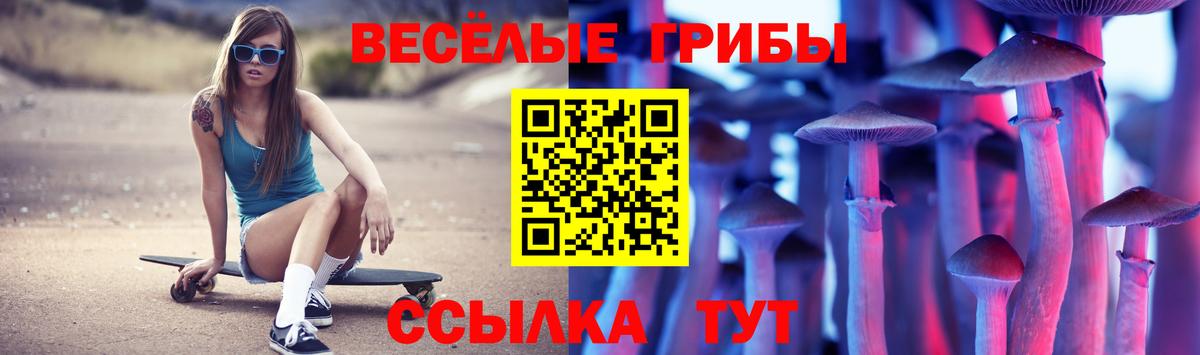 Псилоцибиновые грибы мицелий Кемерово